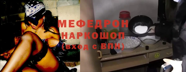 индика Михайловка