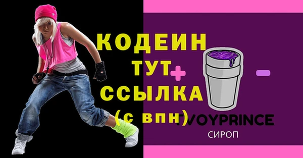 индика Михайловка