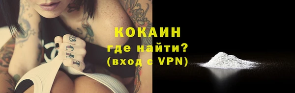 гашик Медвежьегорск