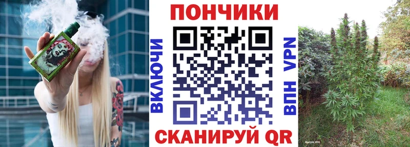 Бошки марихуана THC 21% omg как войти Сортавала